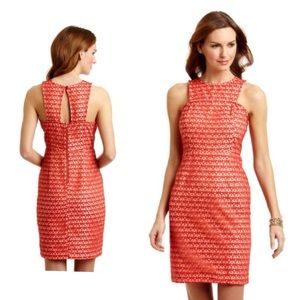 GABBY SKYE Coral Lace Sleeveless Cocktail Dress w/Keyhole Back Sz 8
